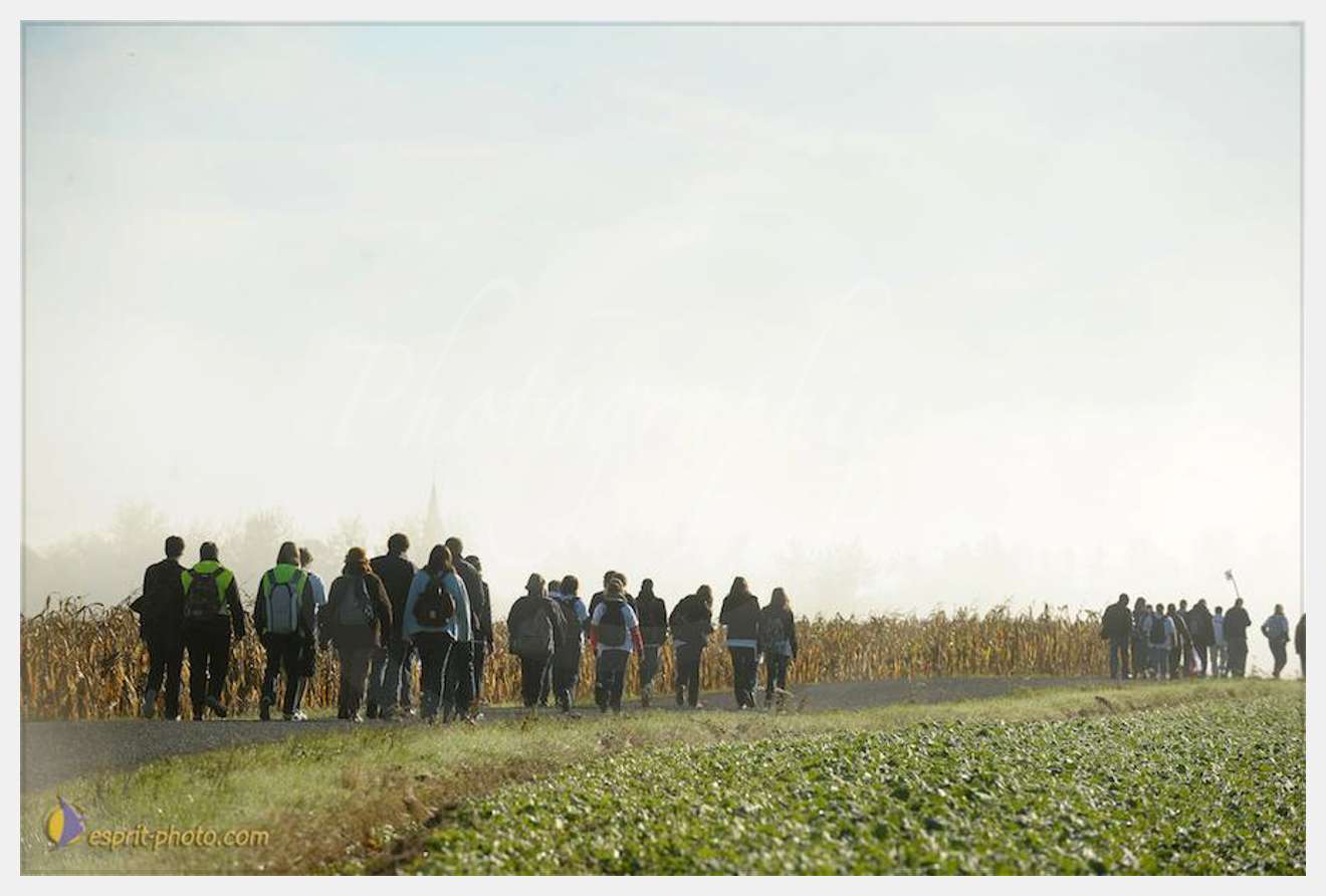 Nom de l'image : D30083037_1 — Description :