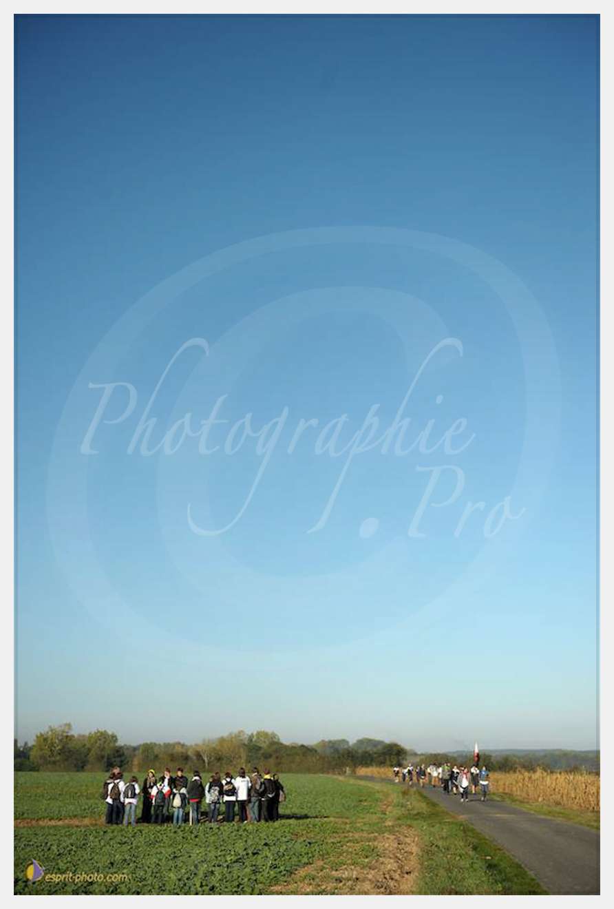 Nom de l'image : D30083064_1 — Description :