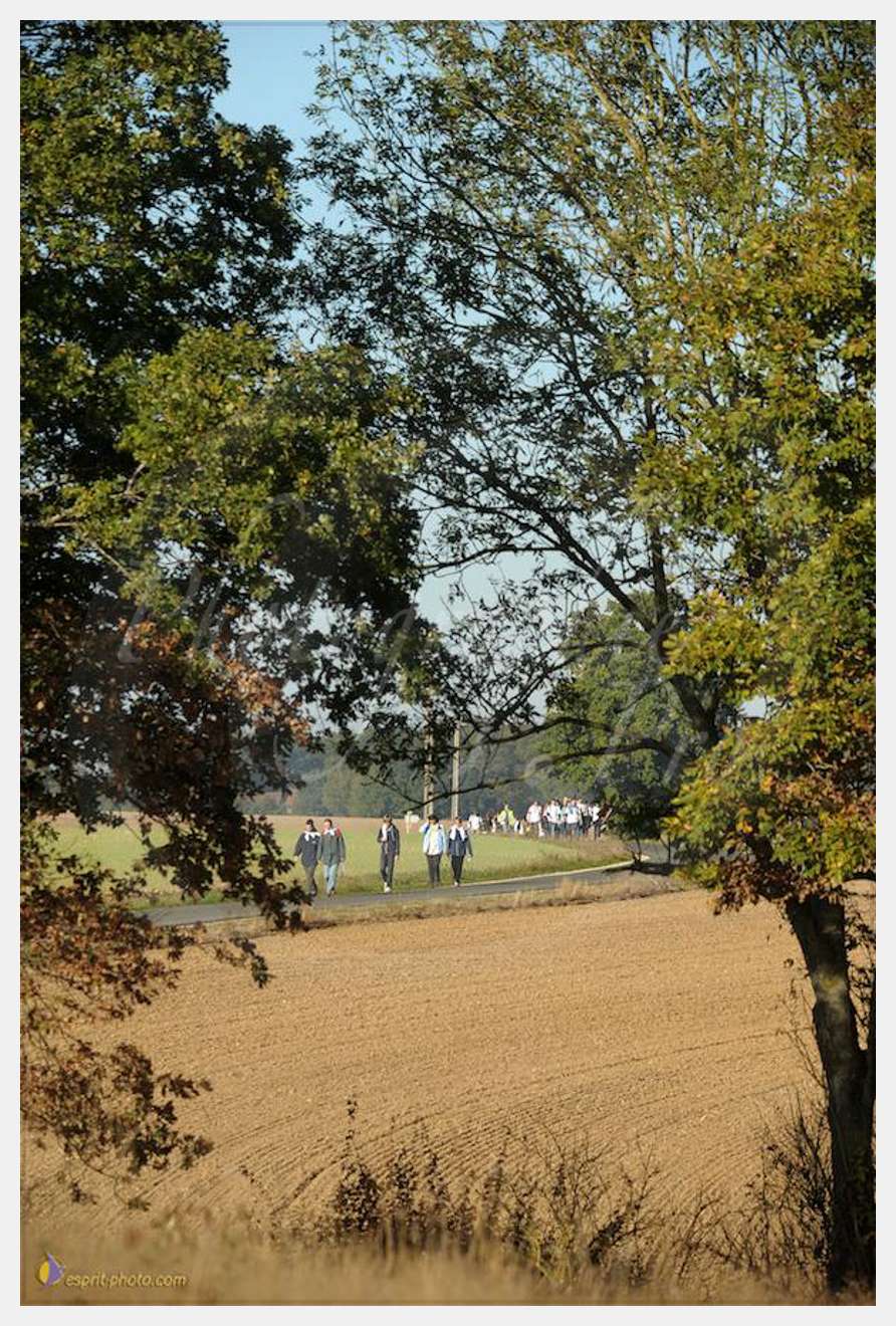 Nom de l'image : D30083146_1 — Description :