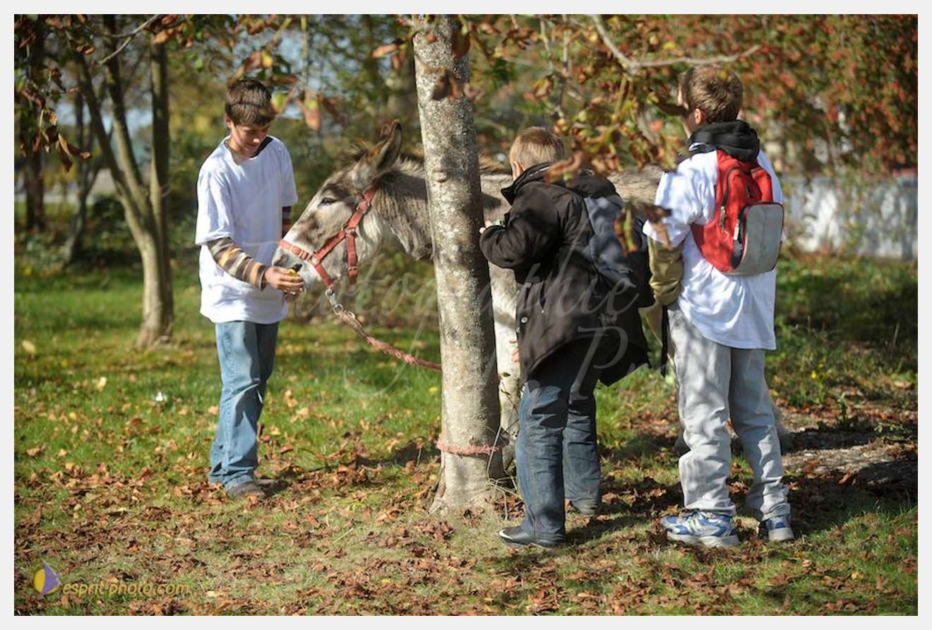 Nom de l'image : D30083664_1 — Description :