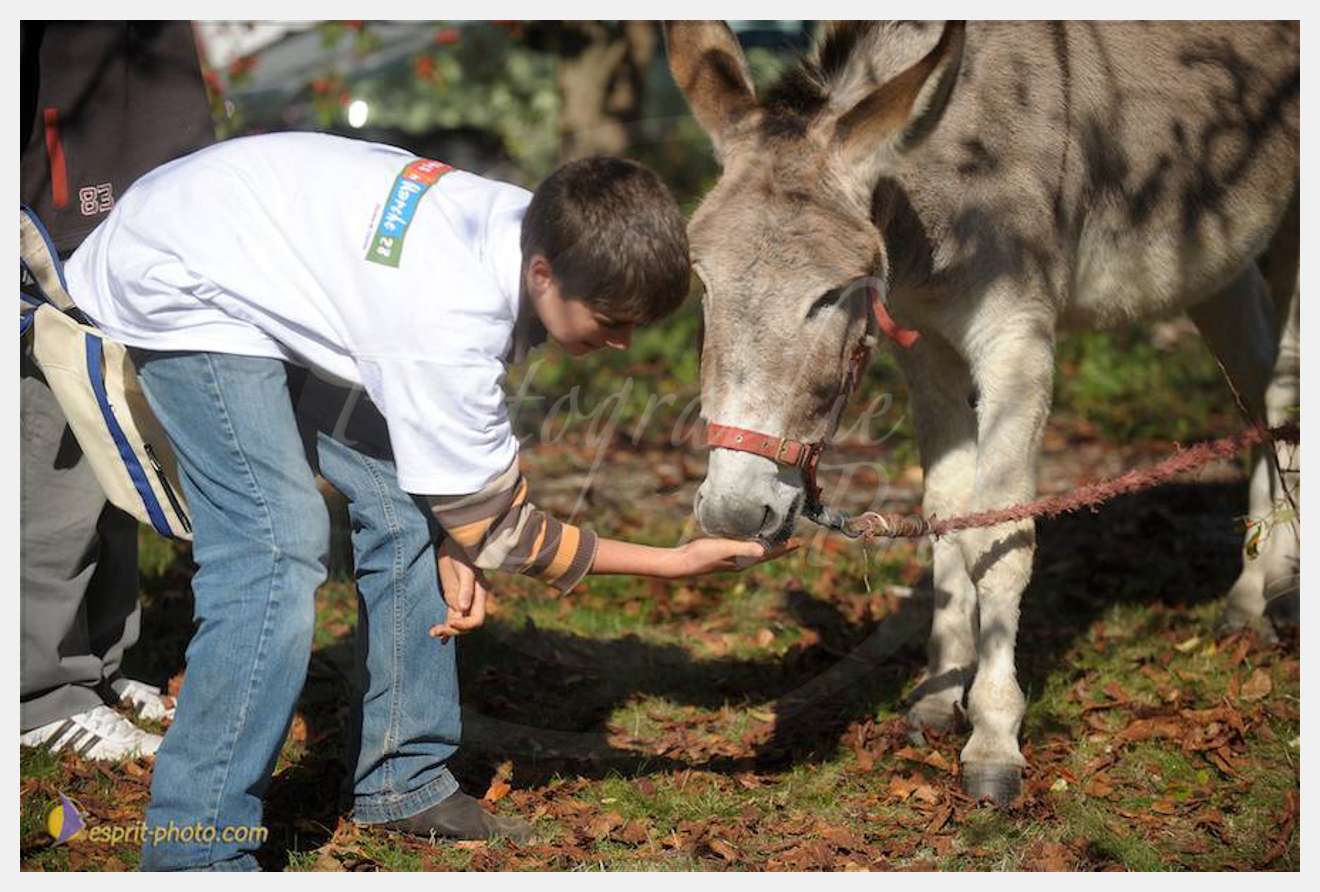 Nom de l'image : D30083709_1 — Description :