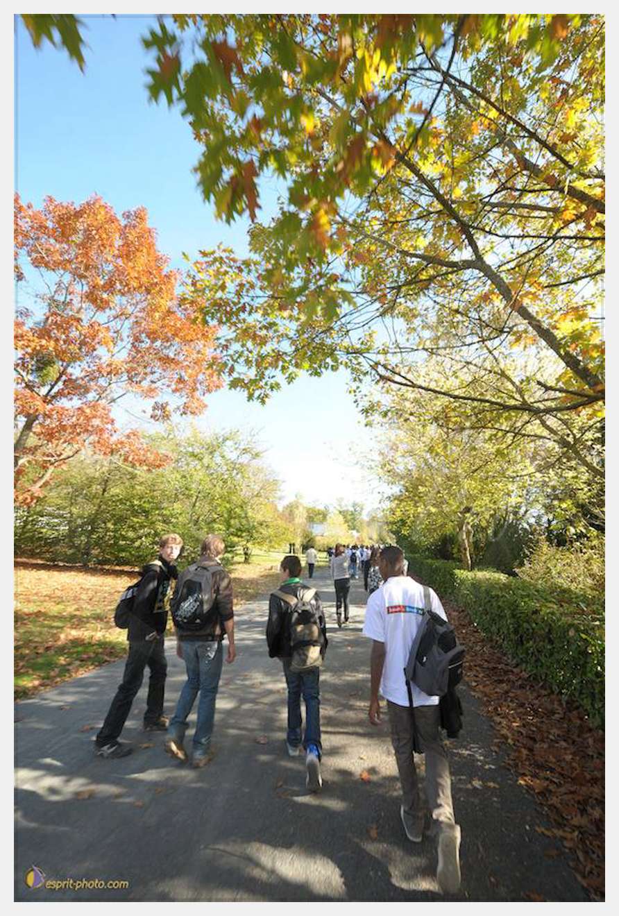 Nom de l'image : D30083819_1 — Description :