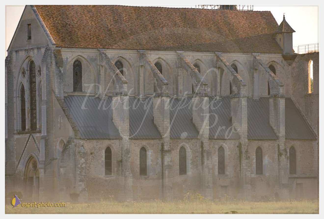 Nom de l'image : D2237858_1 — Description :