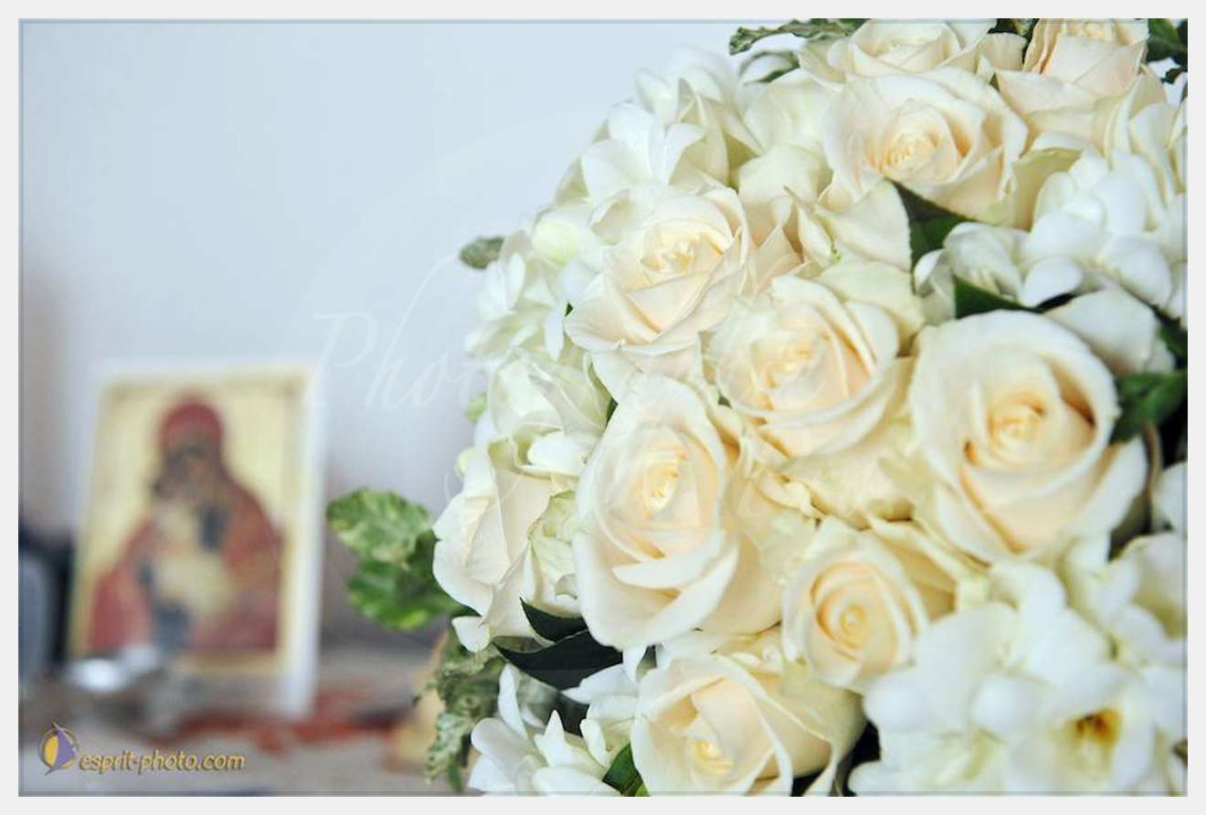 Nom de l'image : 20090103-122721-D30039636_0022 — Description :