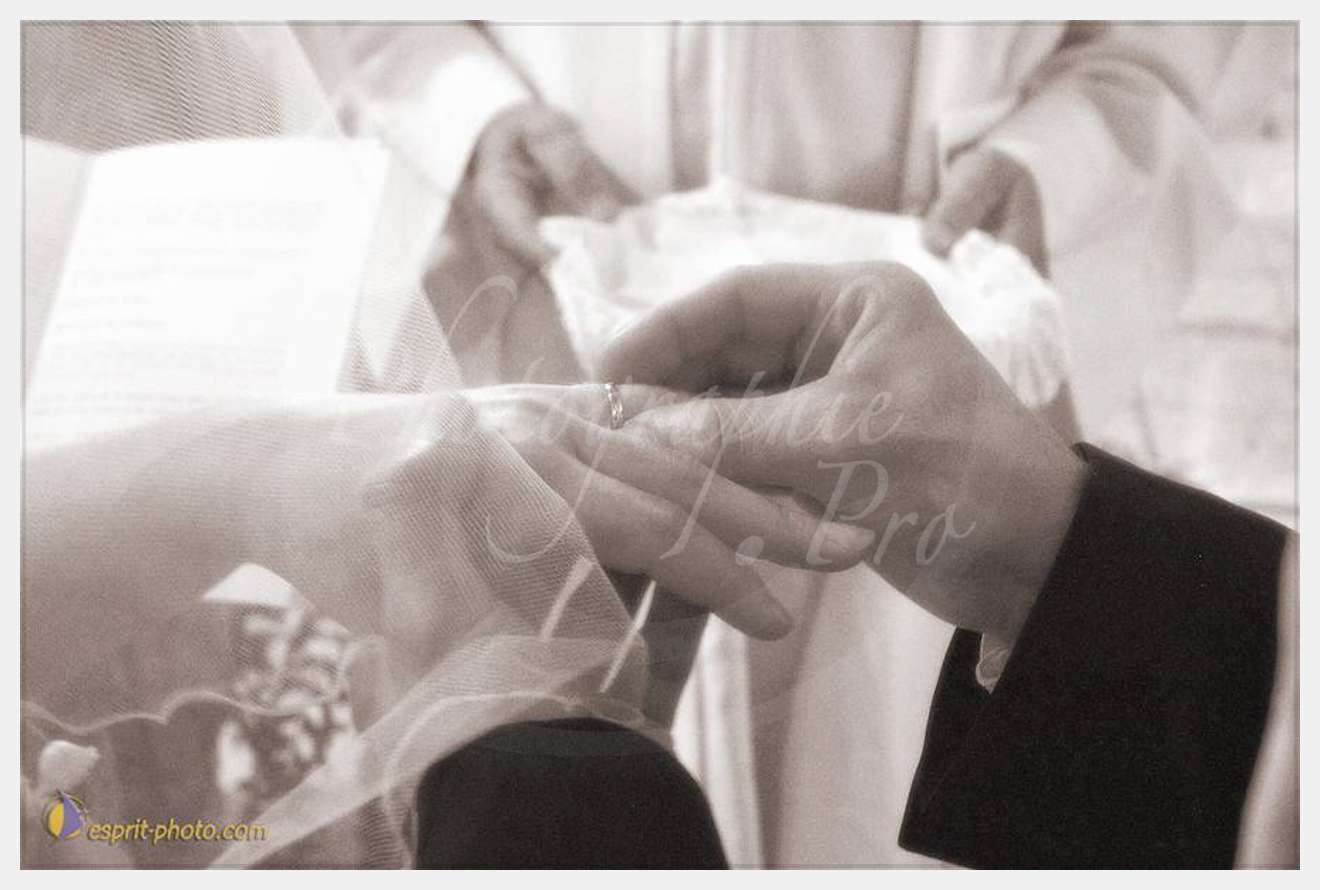 Nom de l'image : D1113950-nef-01sep — Description :