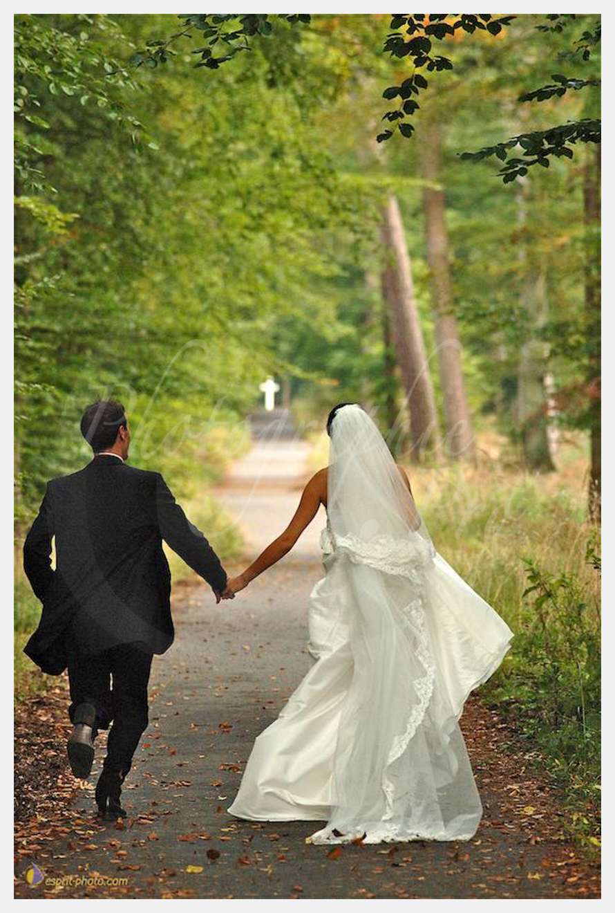 Nom de l'image : D2053917_1 — Description :  Mariage JEROME et VIOLAINE - Photos fait dans la forI?t de Comp