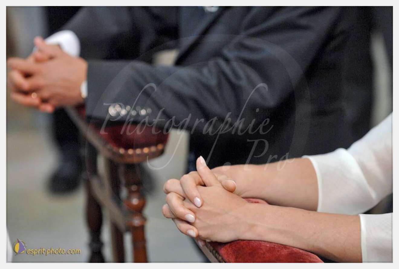 Nom de l'image : D2236242_1 — Description :