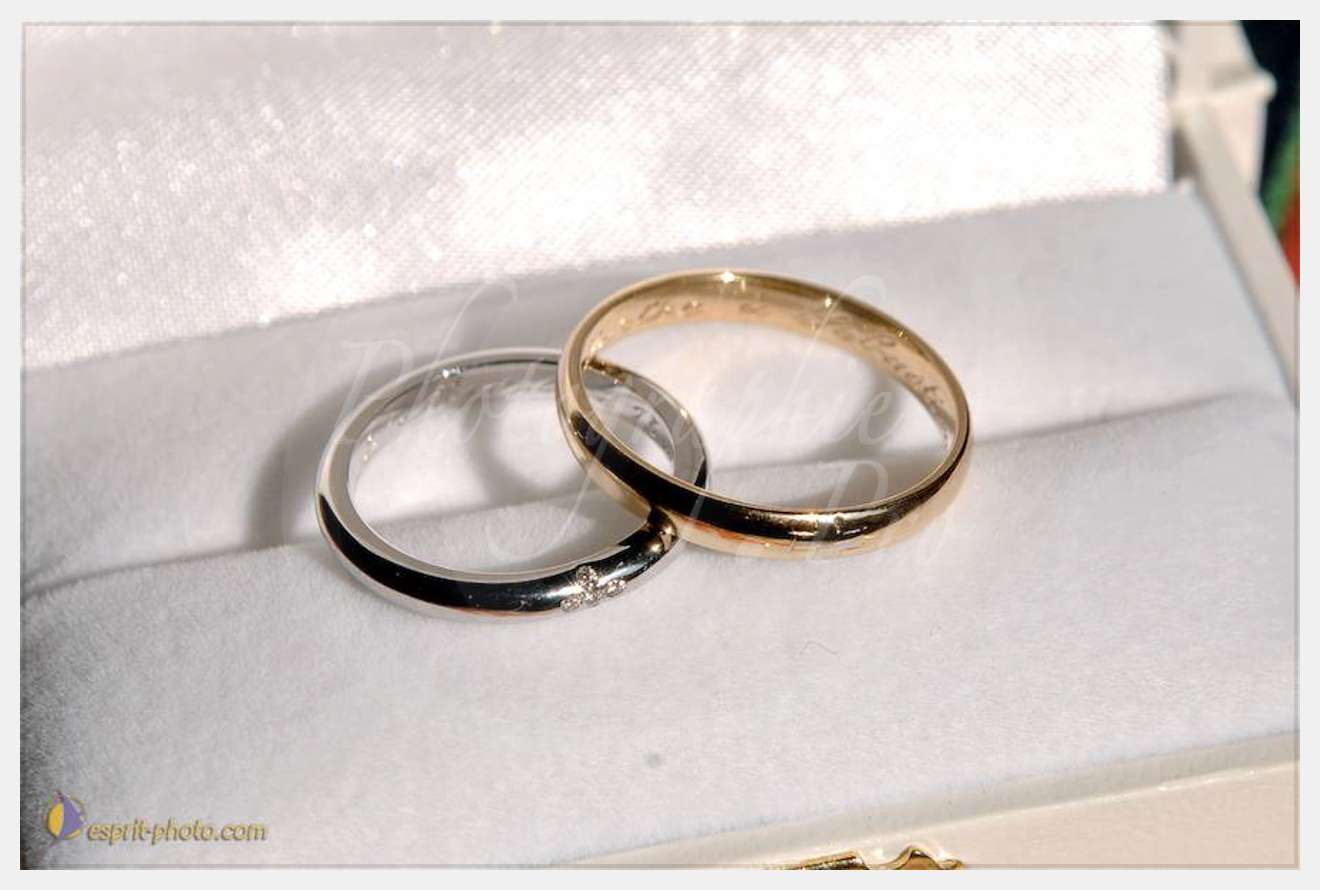 Nom de l'image : D2249370_1 — Description :