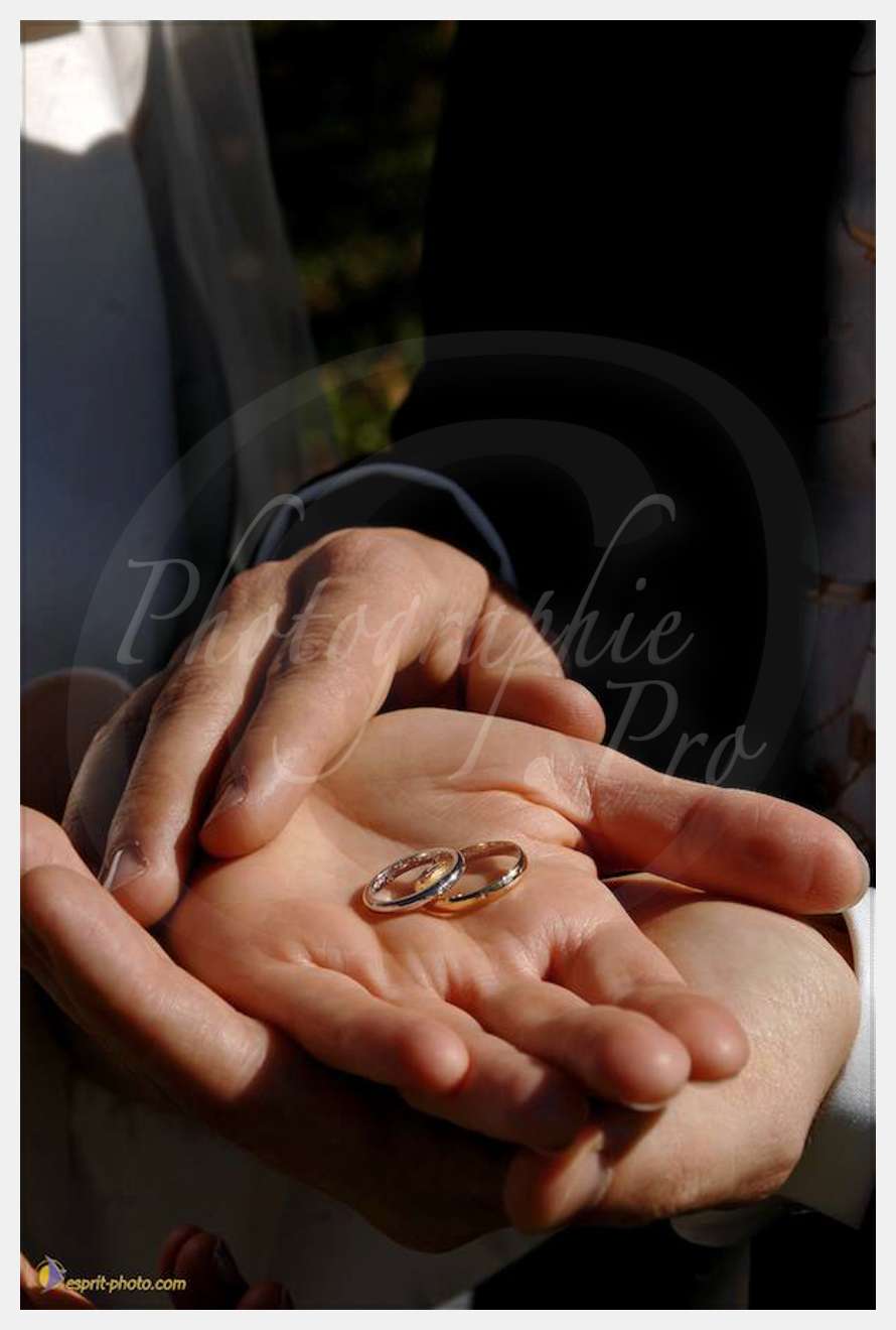 Nom de l'image : D2249483_1 — Description :