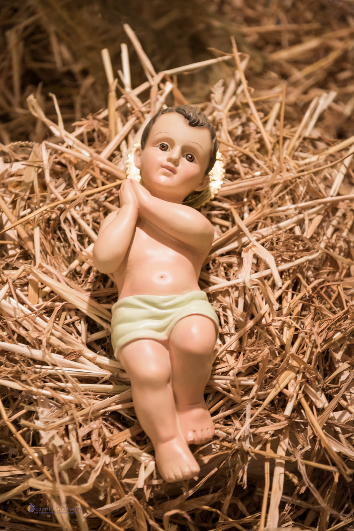 Nom de l'image : D8e086295 — Description :