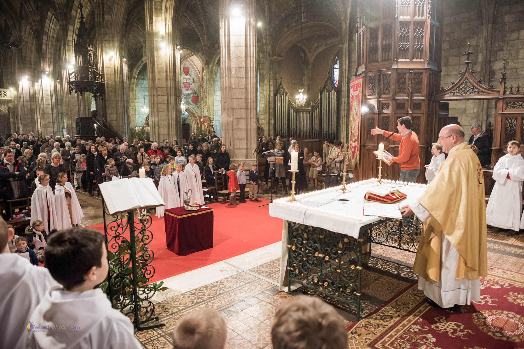 Nom de l'image : D8e088212 — Description :