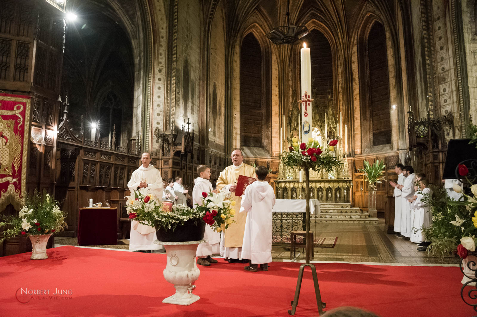 Nom de l'image : 160326_21h48_D3s126979_(c)A-la-Vie.com — Description :