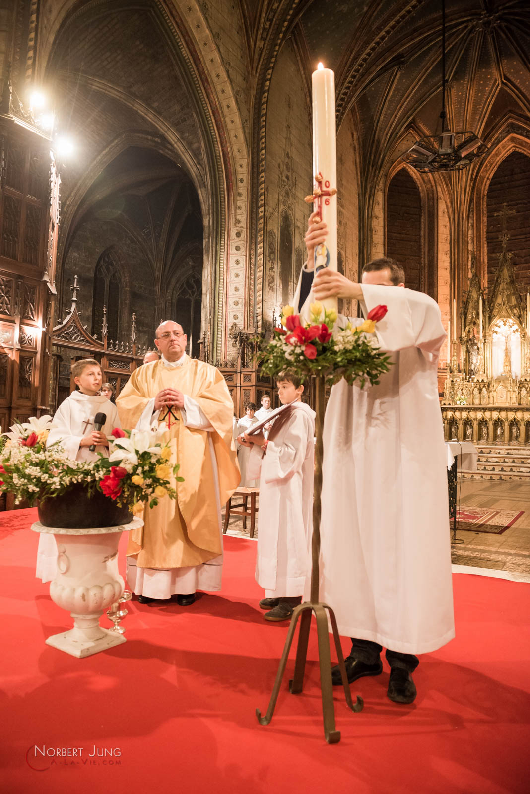 Nom de l'image : 160326_22h24_D8e093594_(c)A-la-Vie.com — Description :