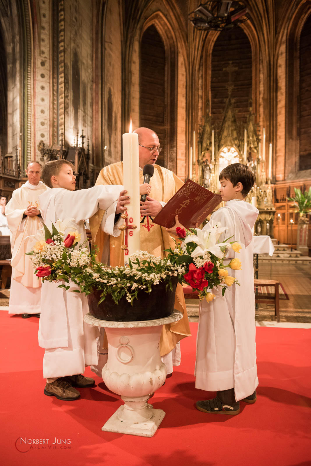 Nom de l'image : 160326_22h25_D8e093597_(c)A-la-Vie.com — Description :