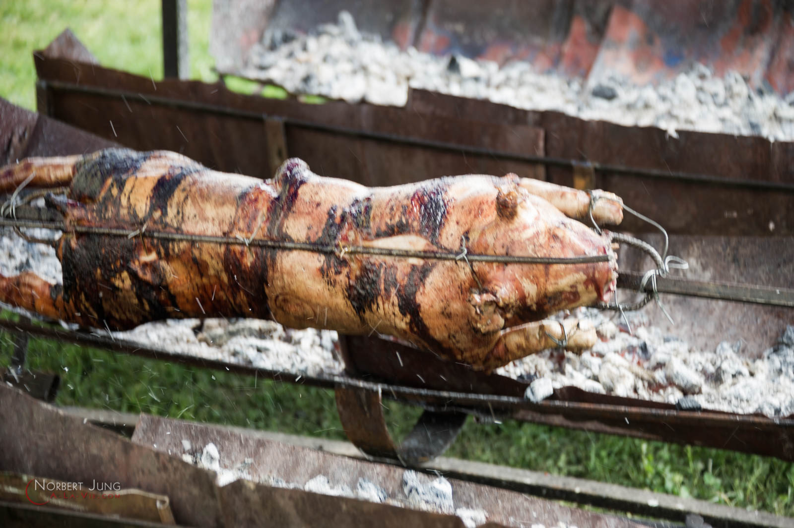 Nom de l'image : 160327_12h40_D3s127200_(c)A-la-Vie.com — Description :