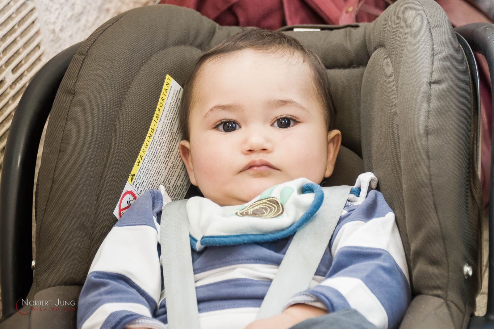 Nom de l'image : 160327_12h42_D3s127205_(c)A-la-Vie.com — Description :