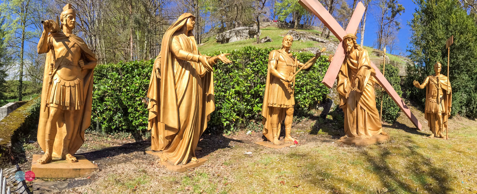 Nom de l'image : 10_112803_iPhNJ_N.JUNG_Photographie.Pro — Description :