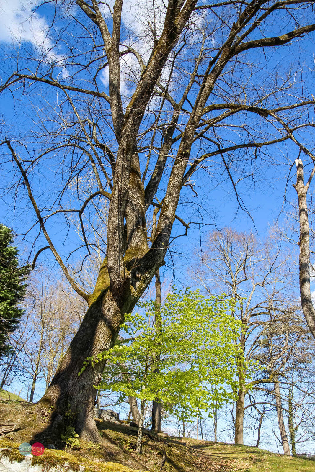 Nom de l'image : 10_114226_0191_N.JUNG_Photographie.Pro — Description :