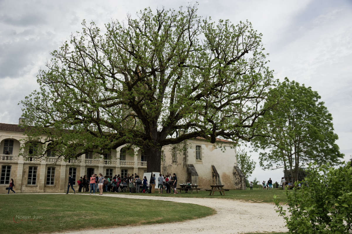 Nom de l'image : 160521_151108_D3s130616 — Description :