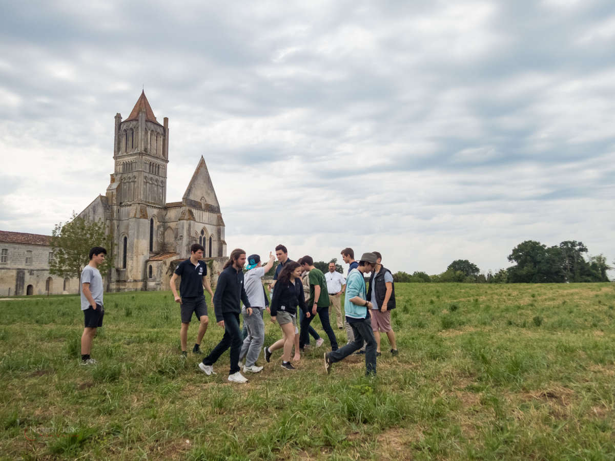 Nom de l'image : 160521_172812_OL-TG4_ — Description :