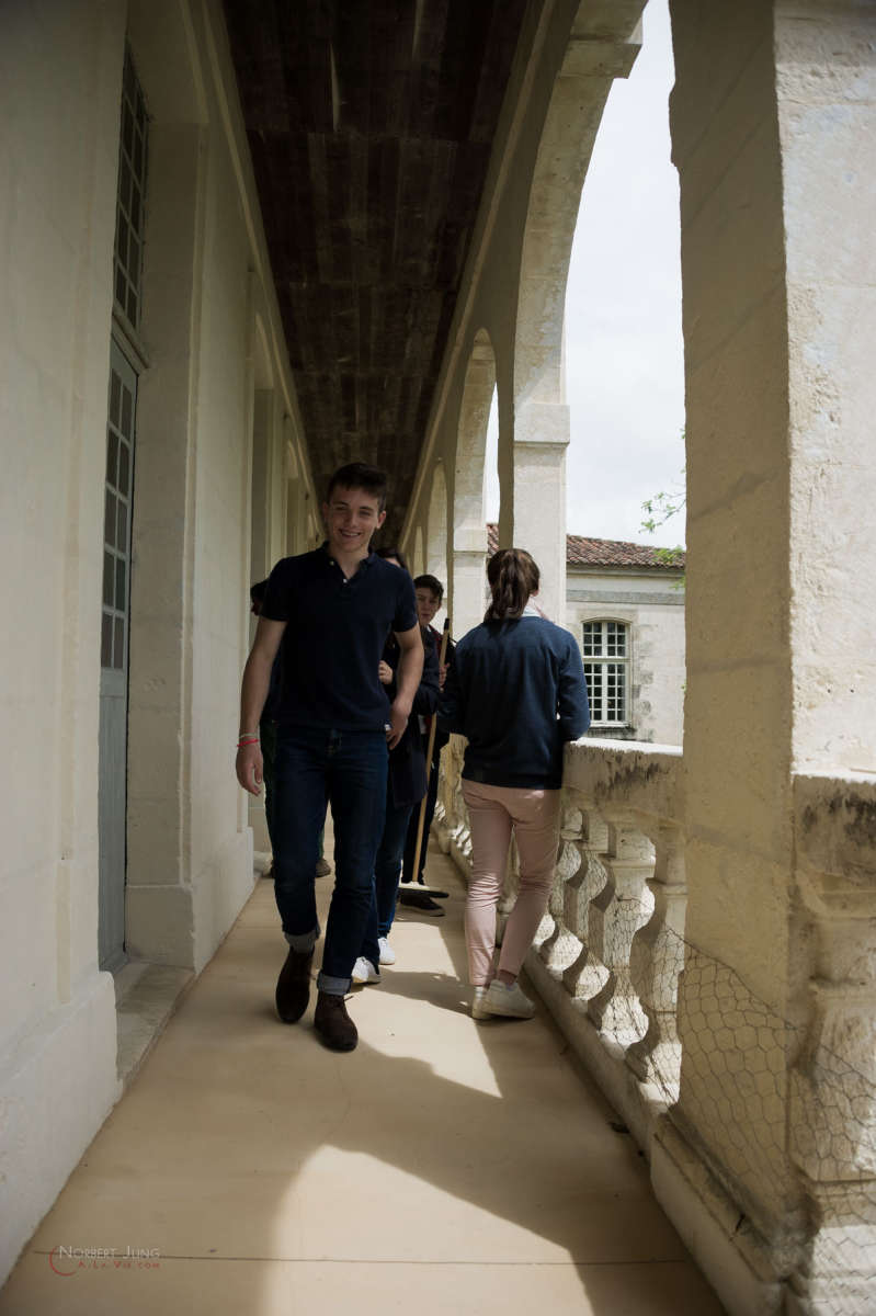 Nom de l'image : 160522_142524_D3s131478 — Description :