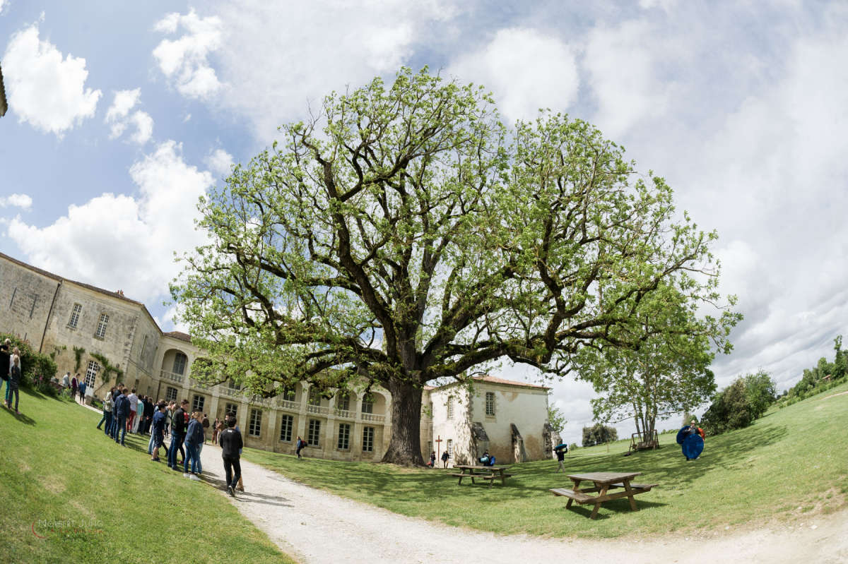 Nom de l'image : 160522_163108_D3s131713 — Description :