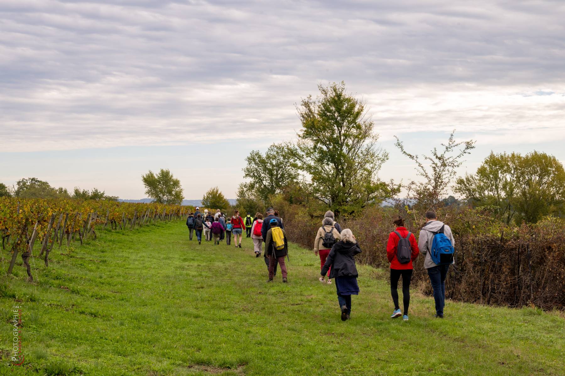 Nom de l'image : NZ9016788_c_PhotoGraphie.Pro — Description :