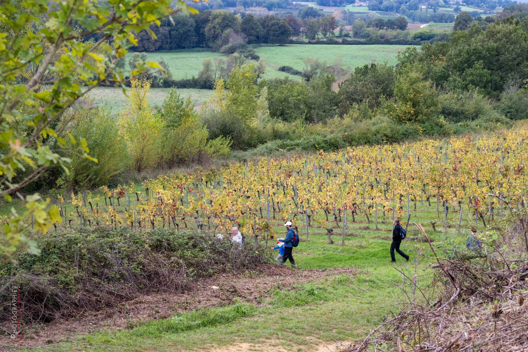 Nom de l'image : NZ9016790_c_PhotoGraphie.Pro — Description :