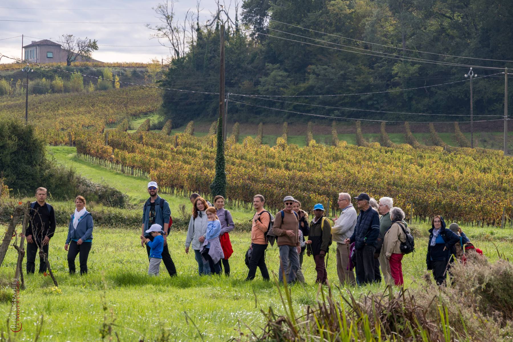 Nom de l'image : NZ9016811_c_PhotoGraphie.Pro — Description :