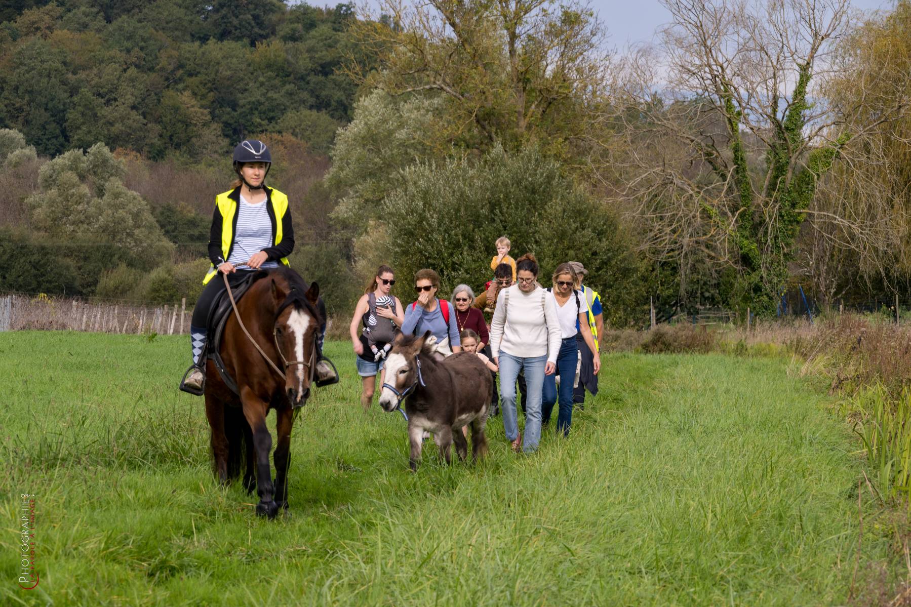 Nom de l'image : NZ9016816_c_PhotoGraphie.Pro — Description :