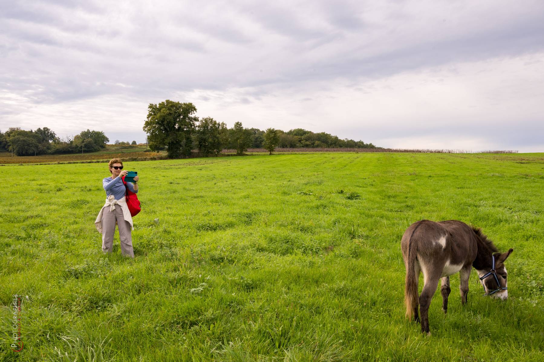 Nom de l'image : NZ9016823_c_PhotoGraphie.Pro — Description :