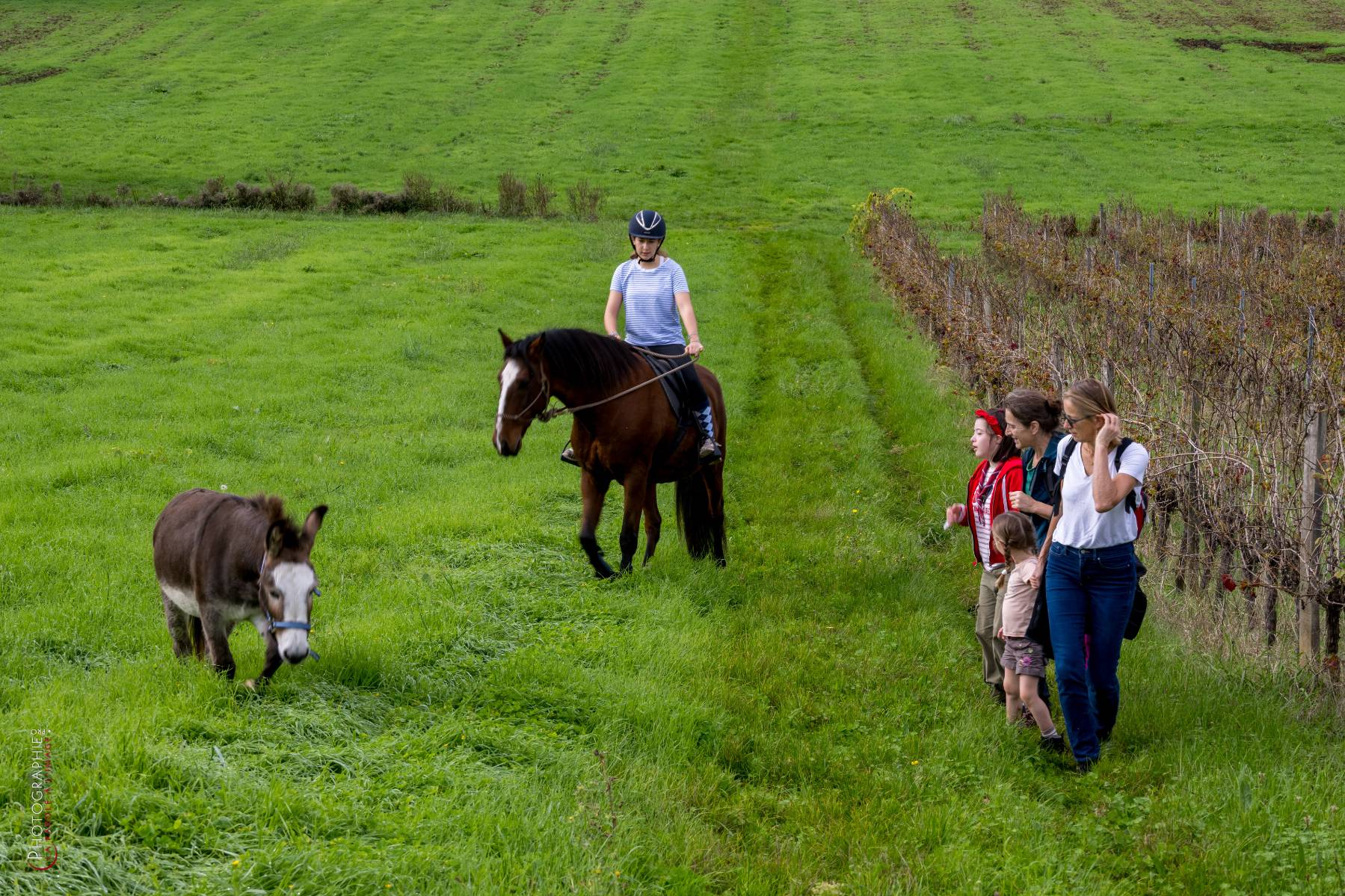 Nom de l'image : NZ9016826_c_PhotoGraphie.Pro — Description :