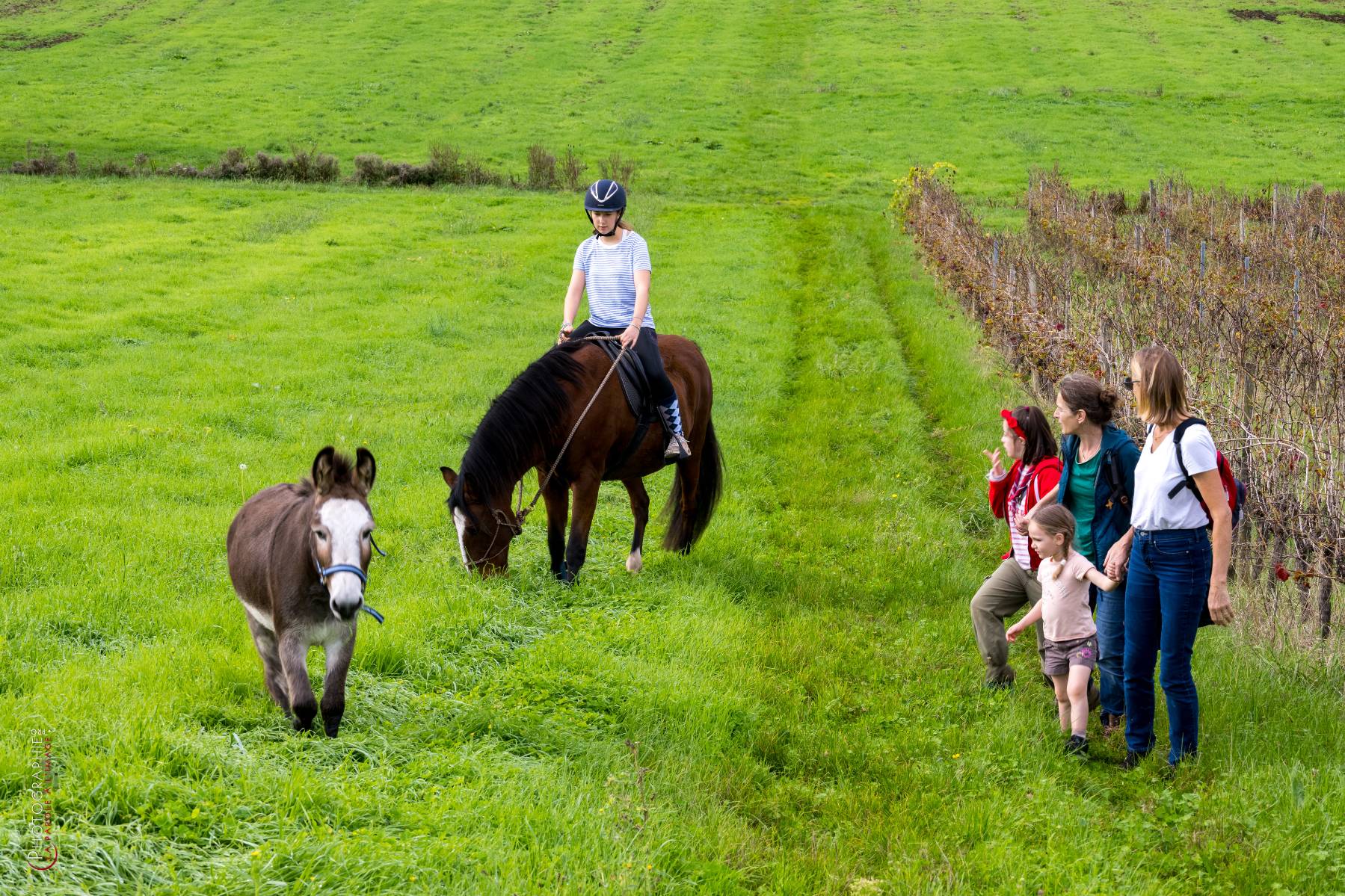 Nom de l'image : NZ9016827_c_PhotoGraphie.Pro — Description :