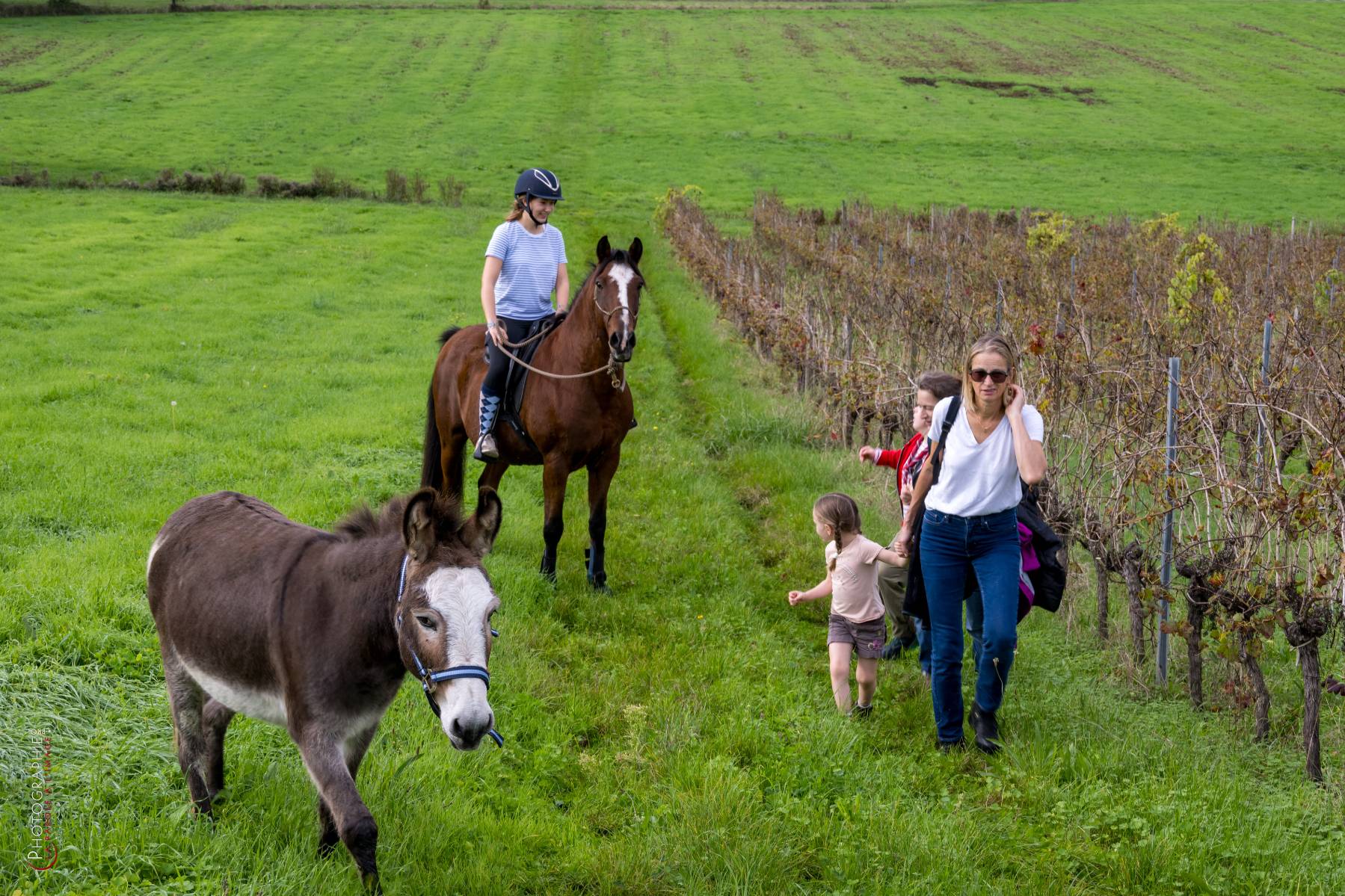 Nom de l'image : NZ9016829_c_PhotoGraphie.Pro — Description :