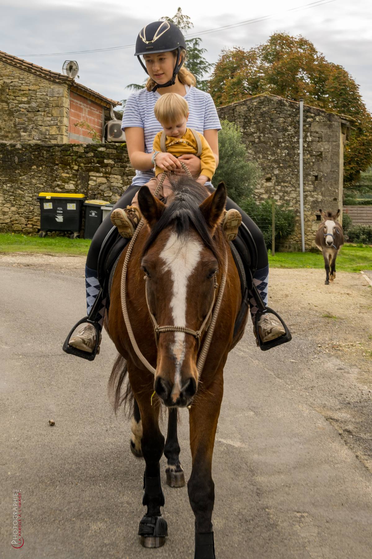 Nom de l'image : NZ9016836_c_PhotoGraphie.Pro — Description :