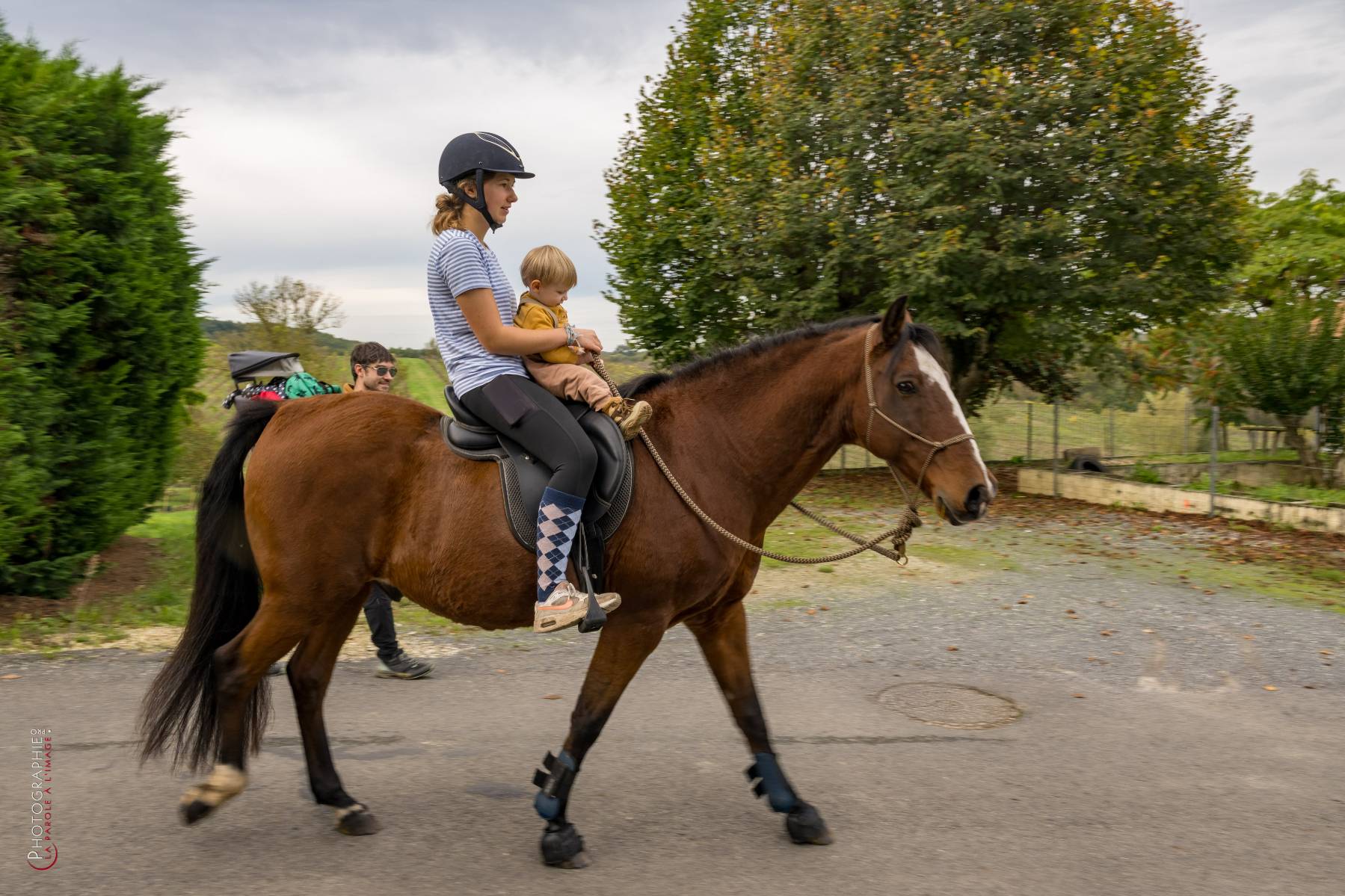 Nom de l'image : NZ9016841_c_PhotoGraphie.Pro — Description :