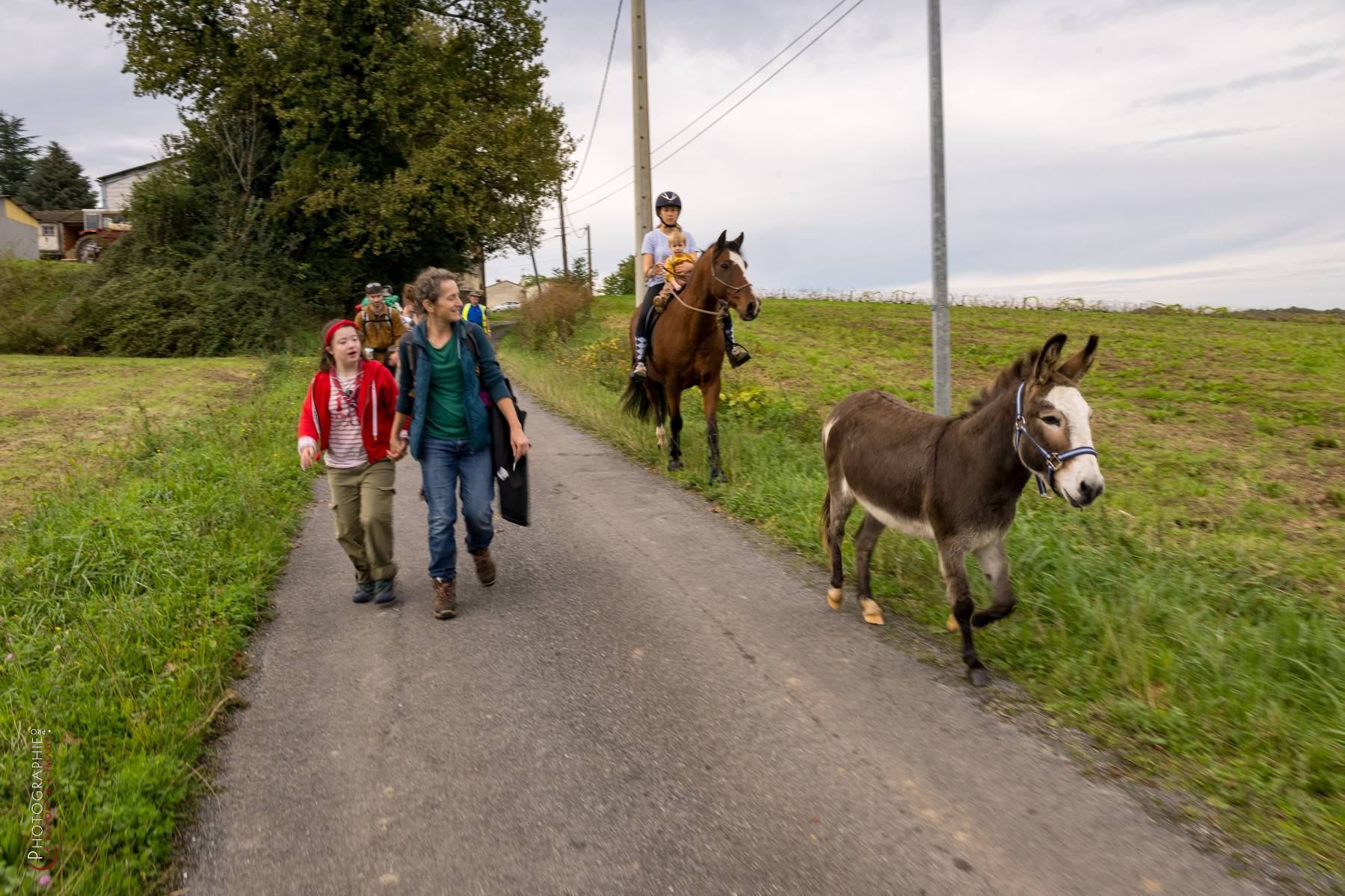 Nom de l'image : NZ9016842_c_PhotoGraphie.Pro — Description :