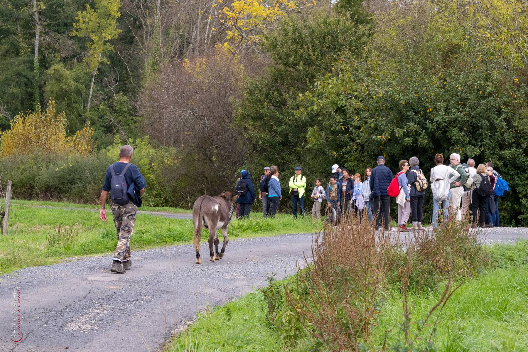 Nom de l'image : NZ9016845_c_PhotoGraphie.Pro — Description :
