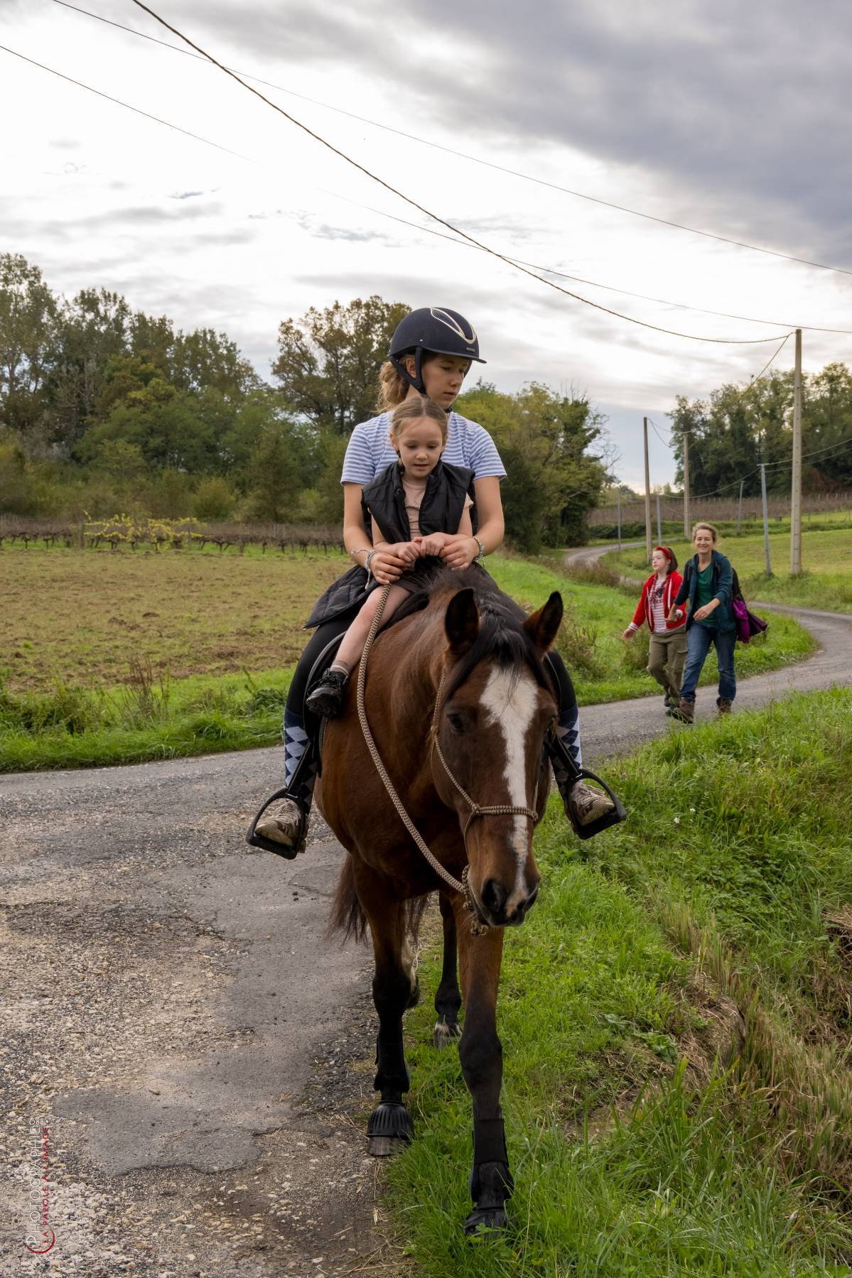 Nom de l'image : NZ9016847_c_PhotoGraphie.Pro — Description :