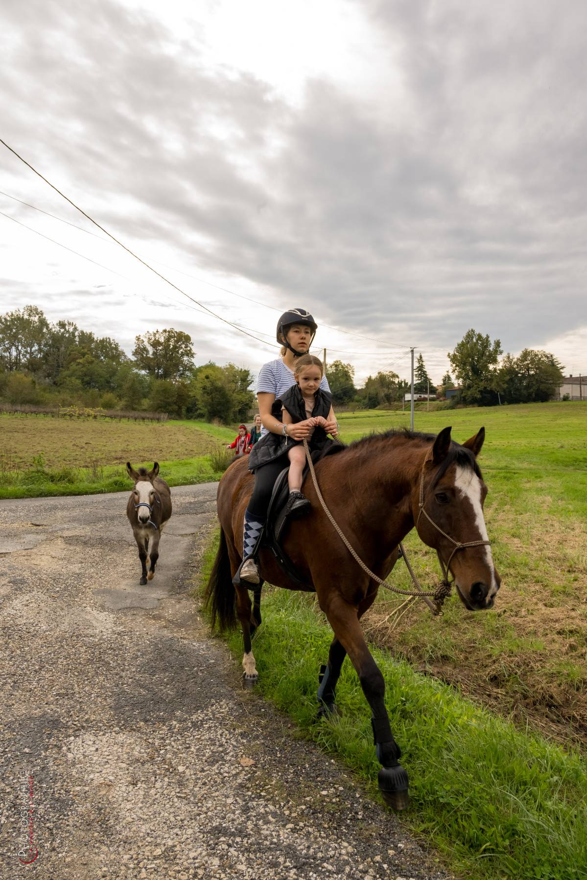 Nom de l'image : NZ9016851_c_PhotoGraphie.Pro — Description :