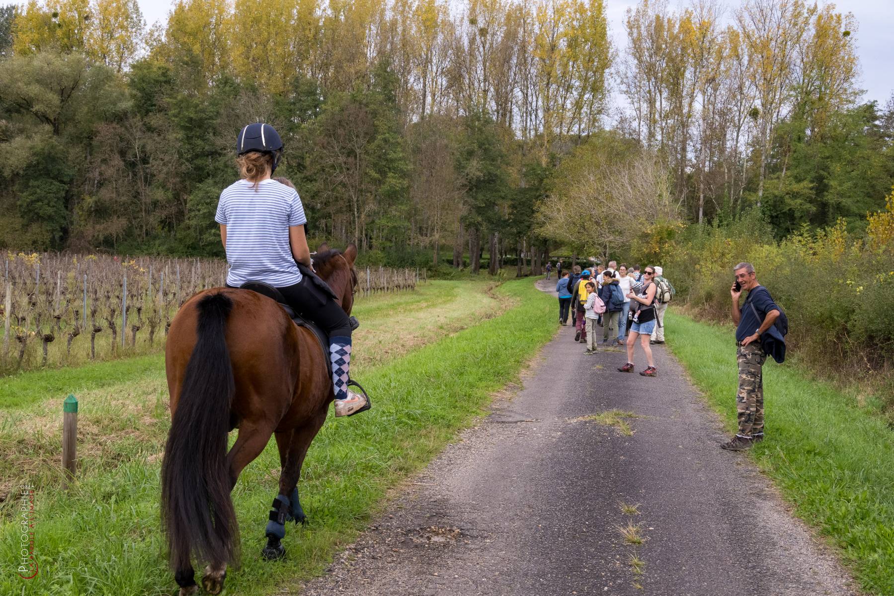 Nom de l'image : NZ9016855_c_PhotoGraphie.Pro — Description :