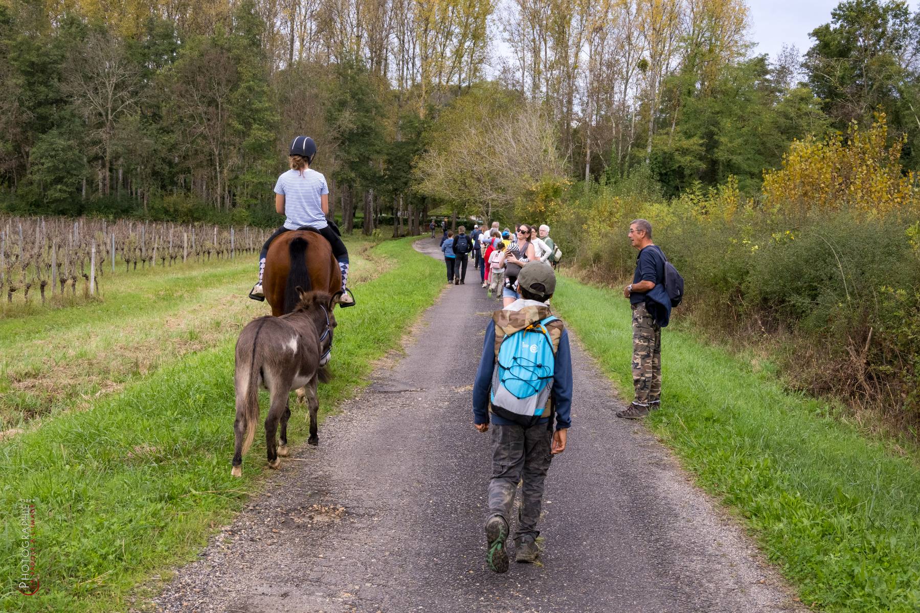 Nom de l'image : NZ9016857_c_PhotoGraphie.Pro — Description :