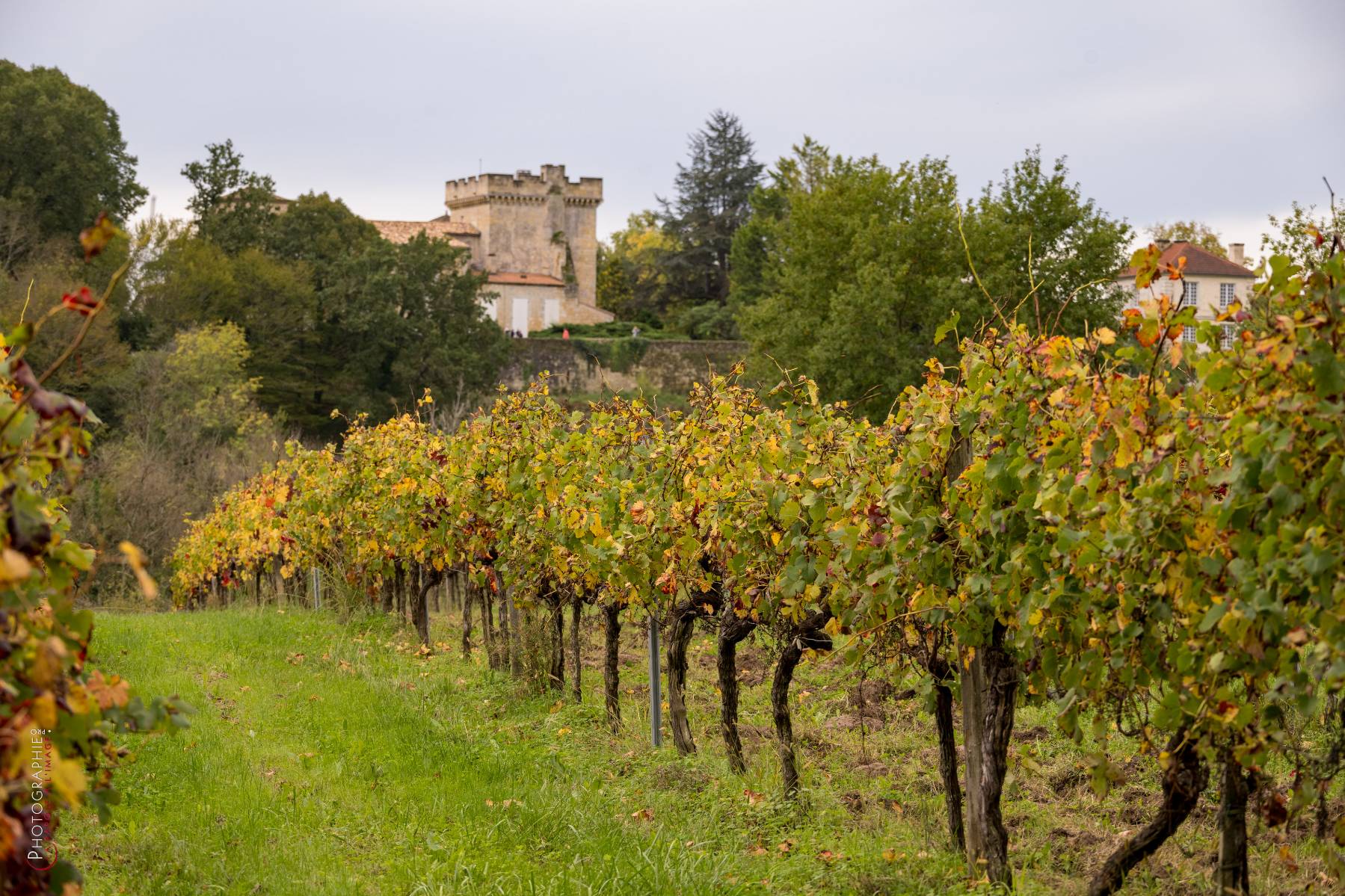 Nom de l'image : NZ9016862_c_PhotoGraphie.Pro — Description :