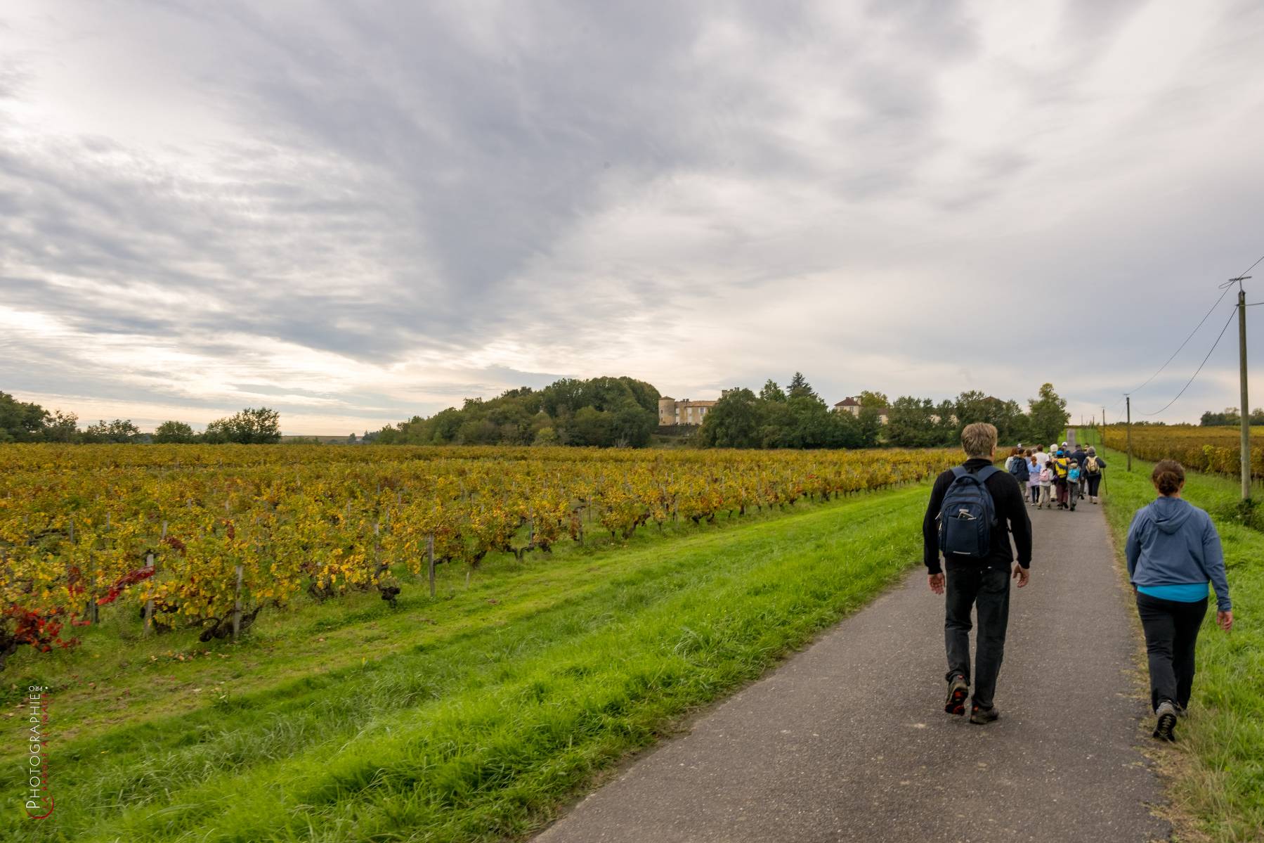 Nom de l'image : NZ9016866_c_PhotoGraphie.Pro — Description :