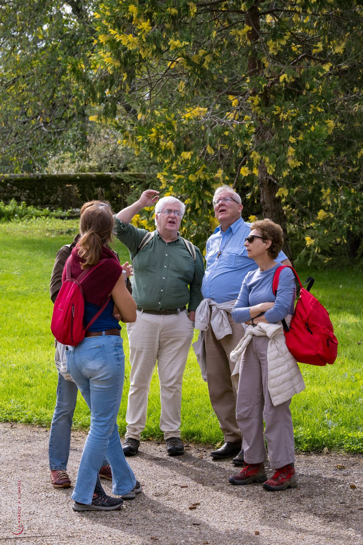 Nom de l'image : NZ9016956_c_PhotoGraphie.Pro — Description :