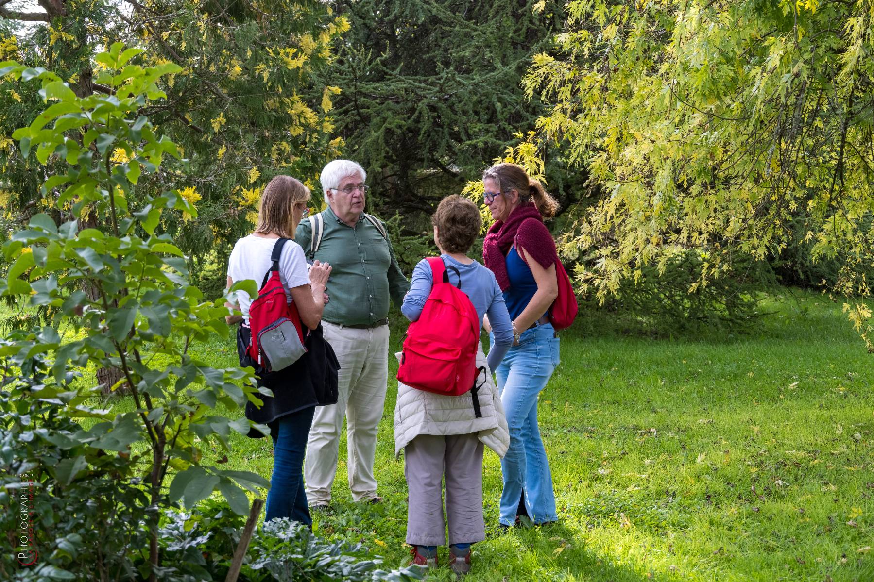 Nom de l'image : NZ9016959_c_PhotoGraphie.Pro — Description :