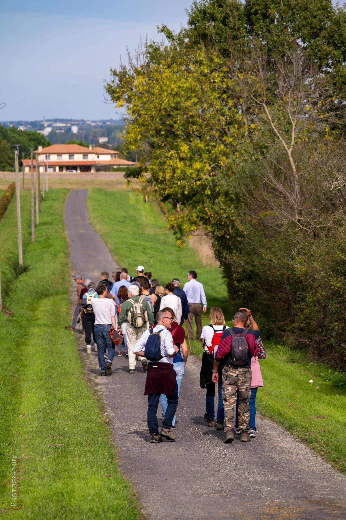 Nom de l'image : NZ9016975_c_PhotoGraphie.Pro — Description :