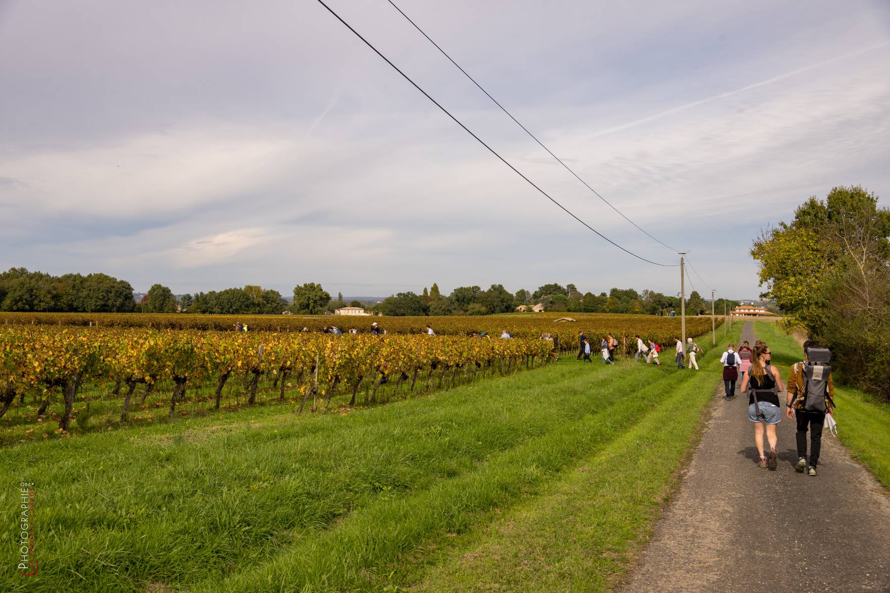 Nom de l'image : NZ9016976_c_PhotoGraphie.Pro — Description :