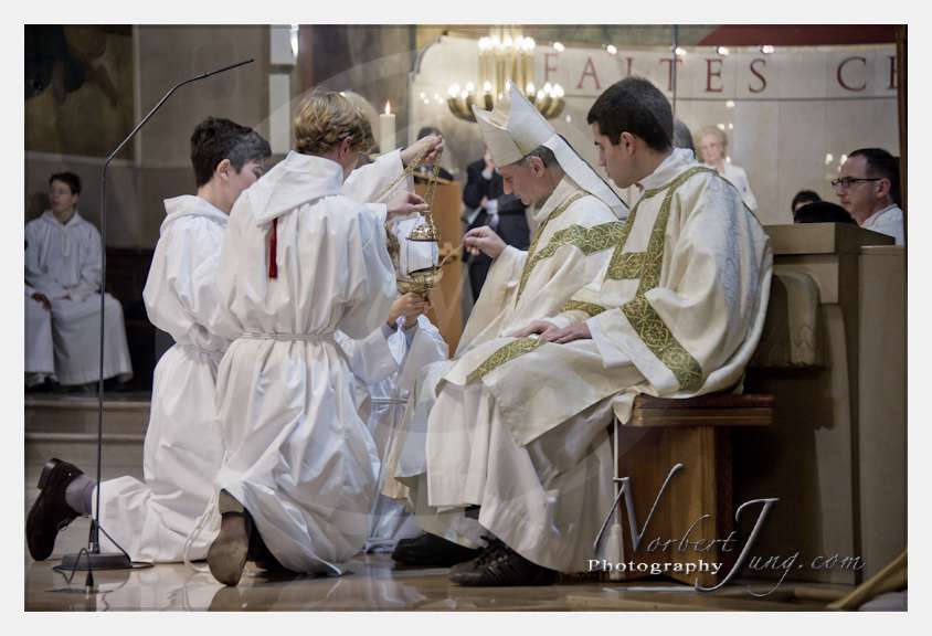 Nom de l'image : D3s065644a_(c)Norbert-Jung.com — Description :