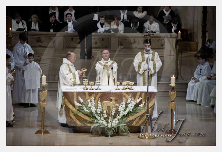 Nom de l'image : D3s066019a_(c)Norbert-Jung.com — Description :